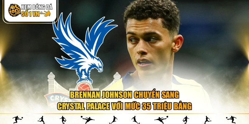 Brennan Johnson chuyển sang Crystal Palace với mức 35 triệu bảng